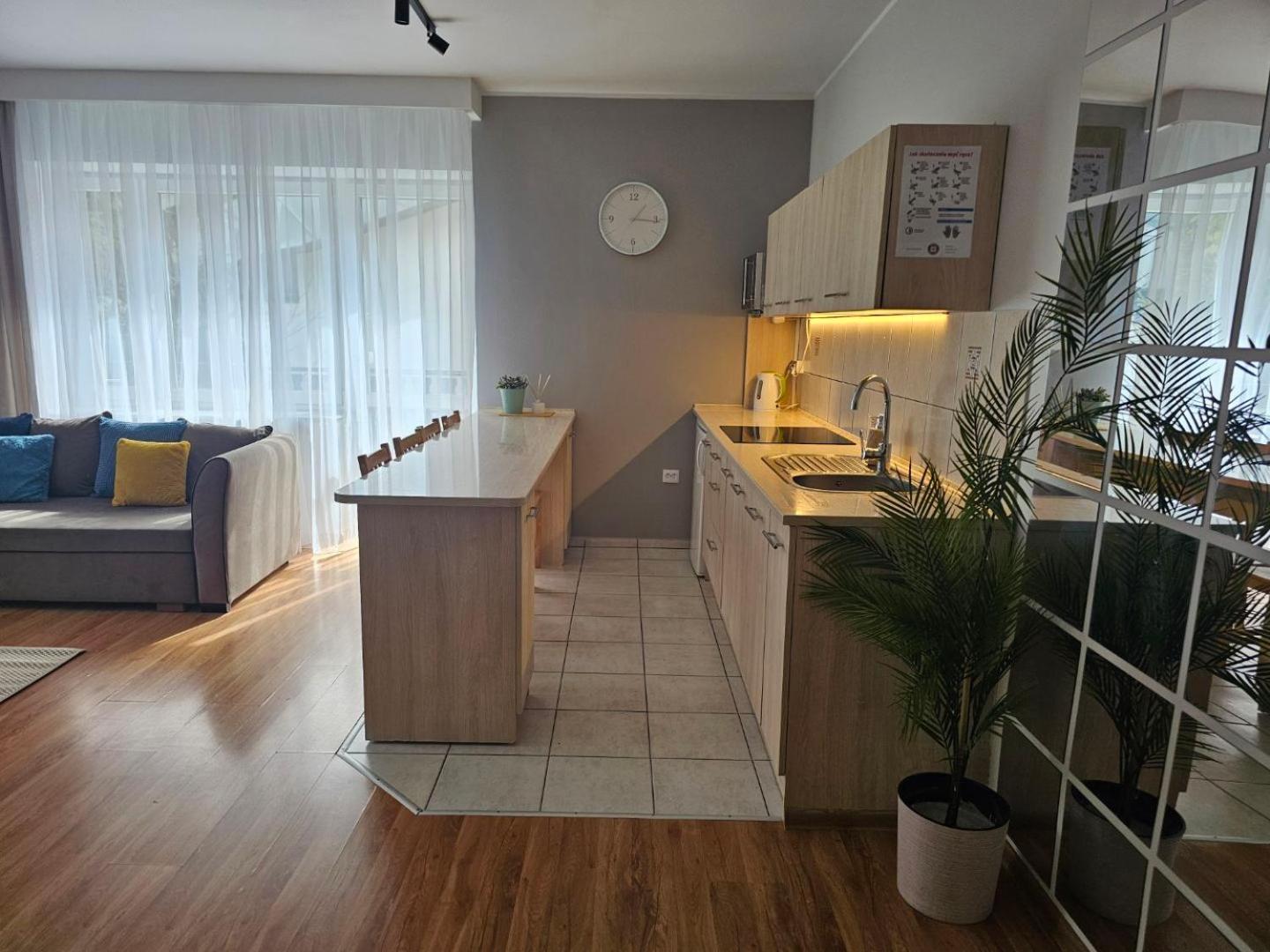 Apartament Rema W Centrum Apartzakop Zakopane Extérieur photo